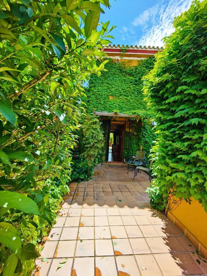 Hotel Donana Blues Matalascañas Dış mekan fotoğraf