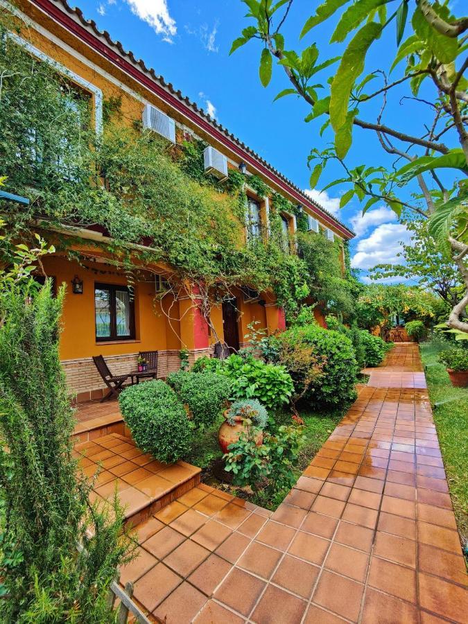 Hotel Donana Blues Matalascañas Dış mekan fotoğraf