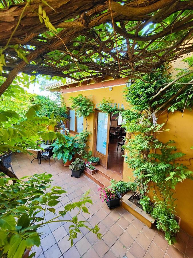 Hotel Donana Blues Matalascañas Dış mekan fotoğraf