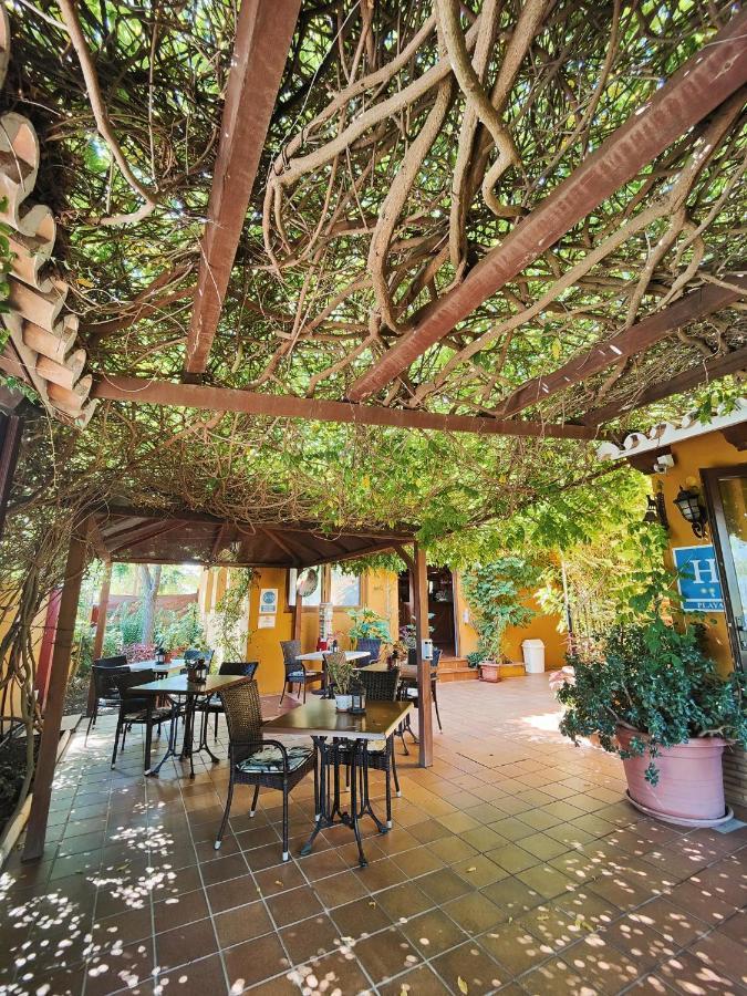Hotel Donana Blues Matalascañas Dış mekan fotoğraf