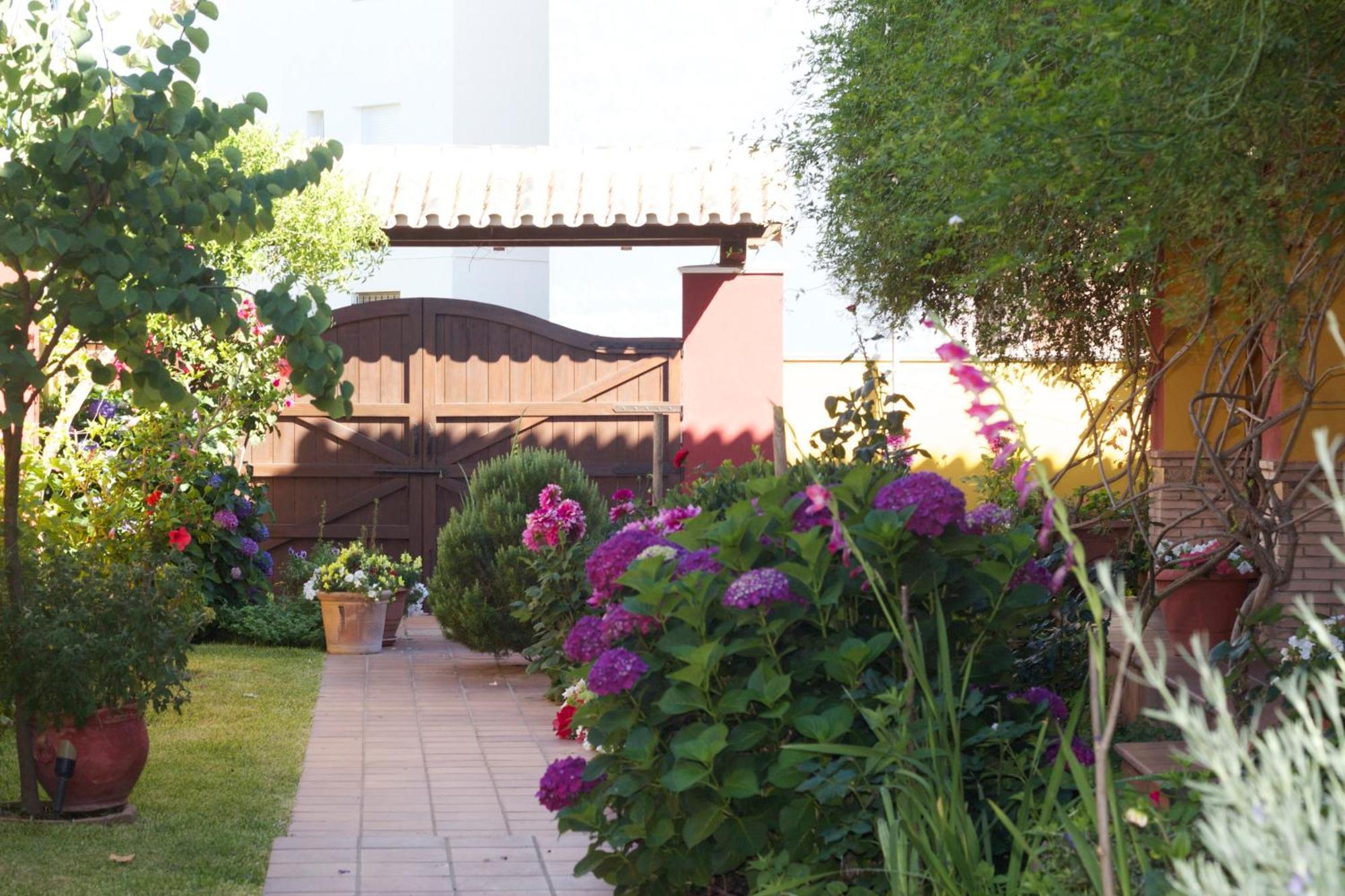 Hotel Donana Blues Matalascañas Dış mekan fotoğraf