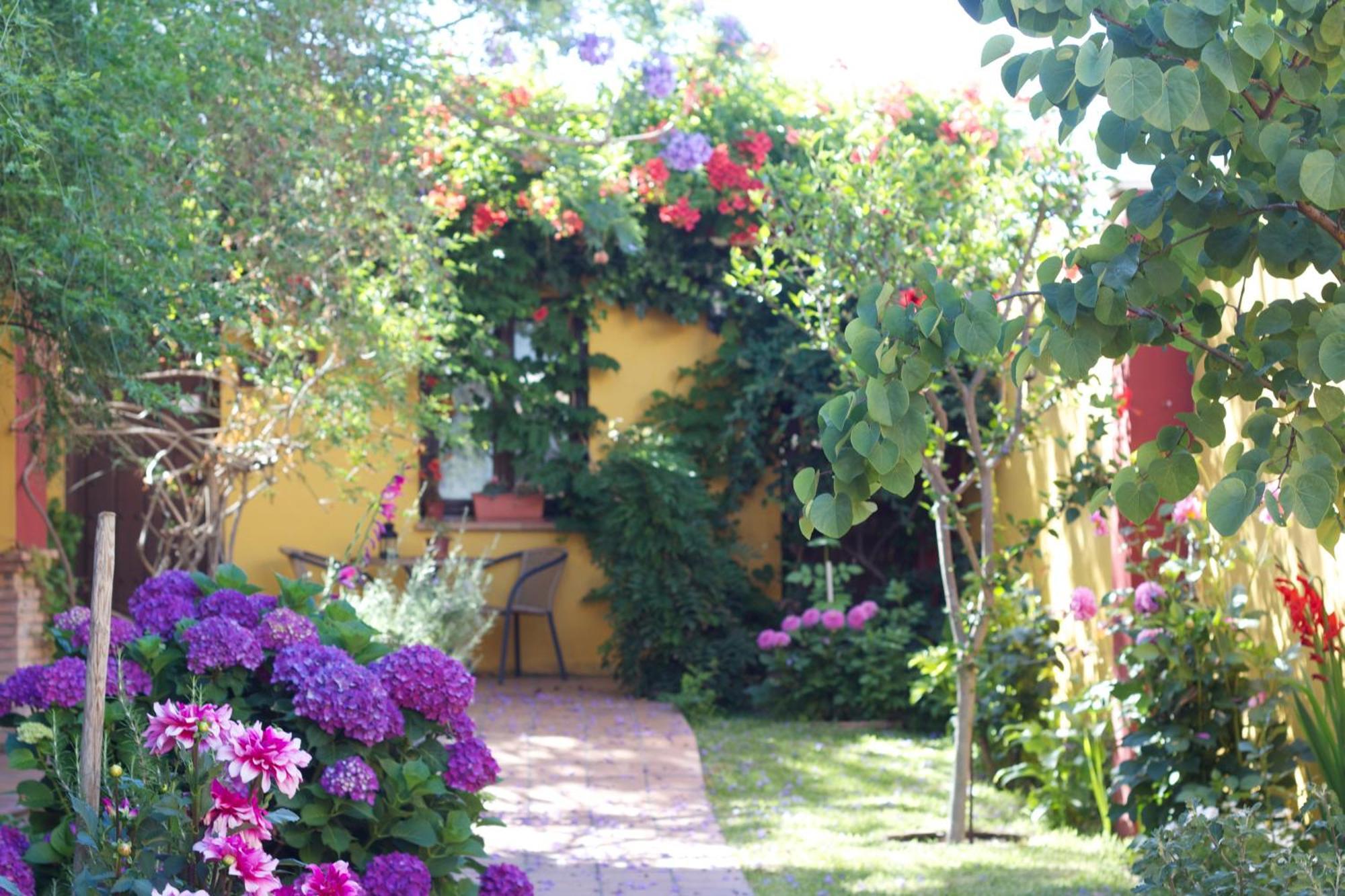 Hotel Donana Blues Matalascañas Dış mekan fotoğraf